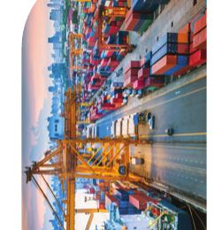 Shipping containers and logistics equipment at a port